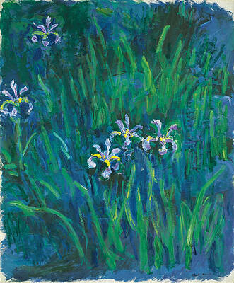 Iris Print by Claude Monet