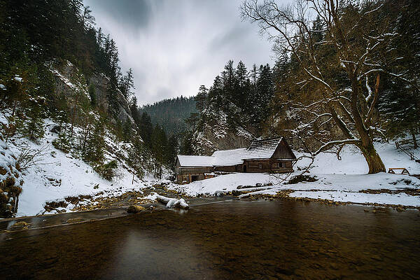 Wall Art - Photograph - Old wooden water mill in winter #3 by Miroslav Liska