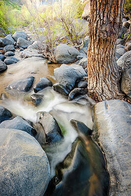 Wall Art - Photograph - Santa Ysabel Creek #2 by Alexander Kunz