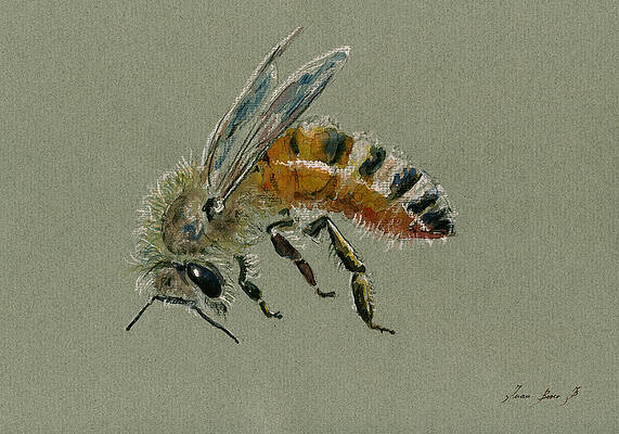 Bee Paintings Fine Art America