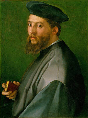 Portrait of a Man Print by Andrea del Sarto