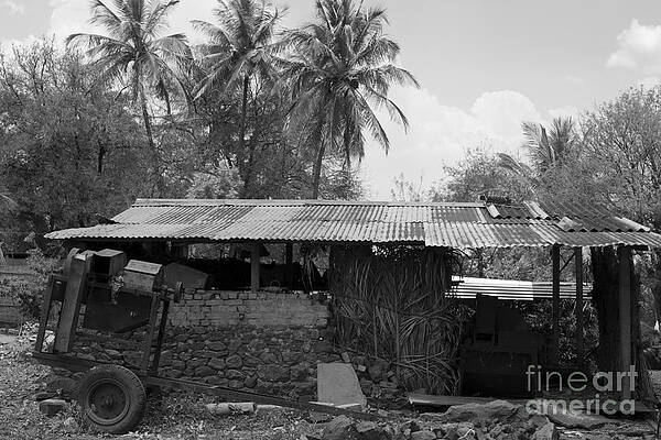 The Old Village in India by Kiran Joshi The Old Village in India by Kiran Joshi