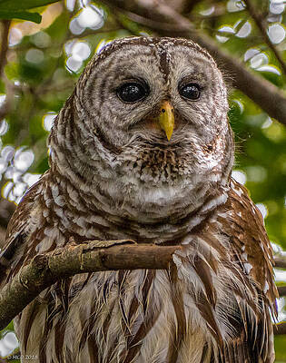 New Upload by Colin McNaught