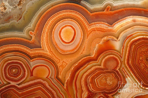 Wall Art - Photograph - Agate #7 by Ted Kinsman