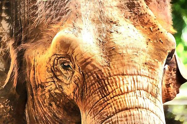 Welcome to the Jungle by Melinda Dominico Welcome to the Jungle by Melinda Dominico
