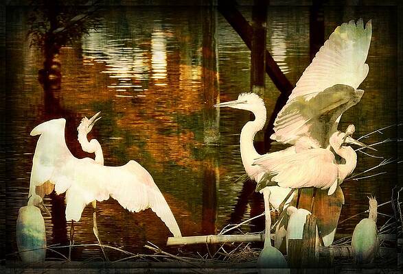 9 Egrets by Leslie Revels 9 Egrets by Leslie Revels