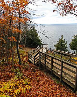 A Beautiful Walk by Greta Larson Photography A Beautiful Walk by Greta Larson Photography