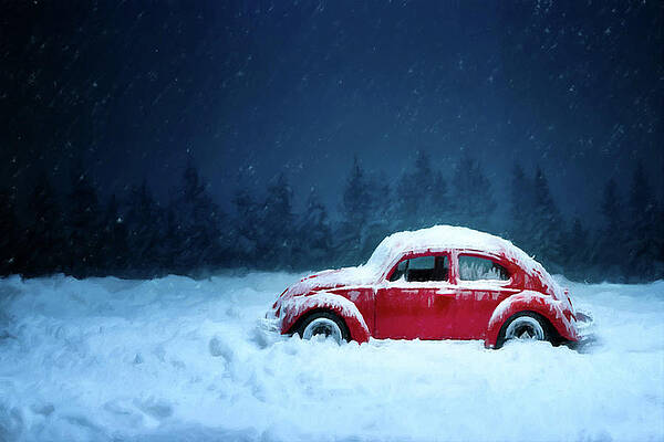 Wall Art - Painting - A Bug in the Snow by David Dehner