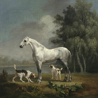 Dapple-grey Spanish horse - portrait in motion, Posters, Art Prints, Wall  Murals