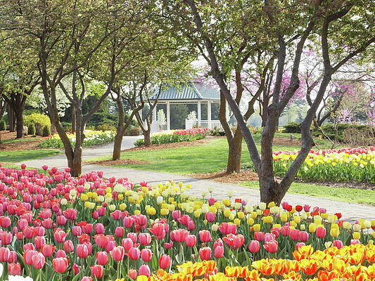 A Day at the Park by Susan Hickam