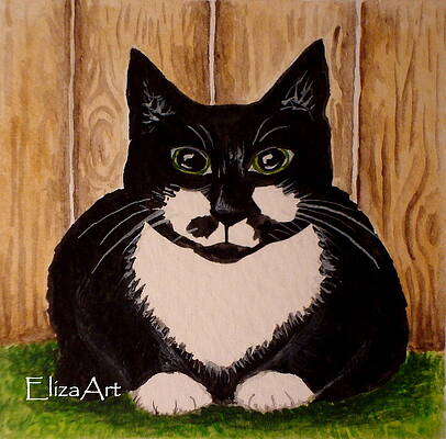 Black And White Cat Paintings Page 4 Of 20 Fine Art America