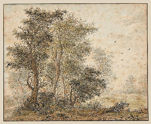 A Forest Scene Print by Adriaen Hendricksz Verboom