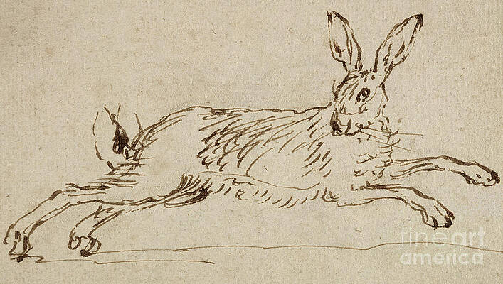 Bunny Ears Drawings Fine Art America