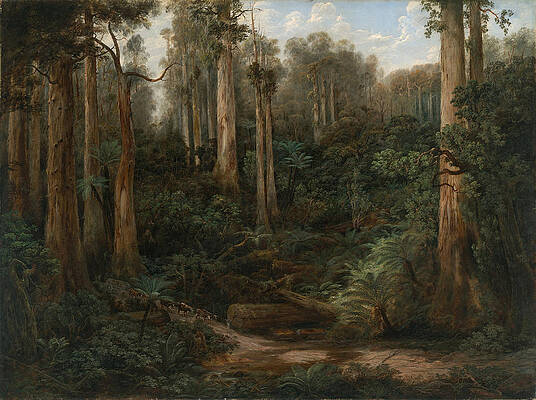 Wall Art - Painting - A Sassafras Gully. Gippsland by Isaac Whitehead