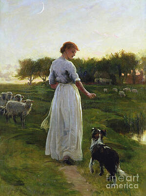Girl With Dog Paintings Fine Art America