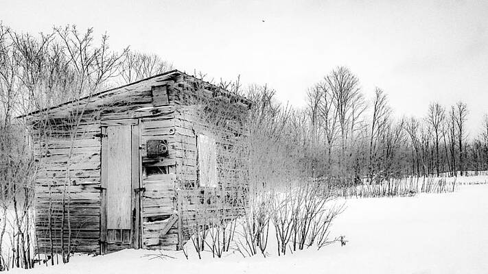 A snowbird returns by Kendall McKernon A snowbird returns by Kendall McKernon