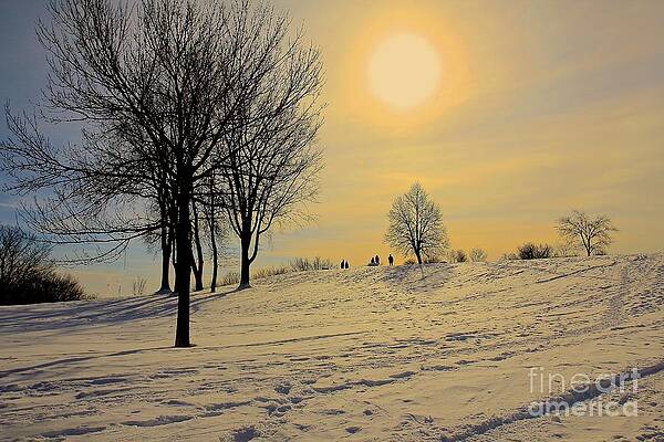 A Sunlit Snowy Field by Xueping Zhang A Sunlit Snowy Field by Xueping Zhang