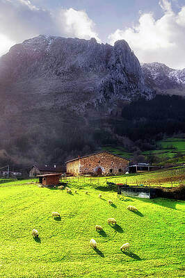 Wall Art - Photograph - A typical basque country farmhouse with sheep by Mikel Martinez de Osaba