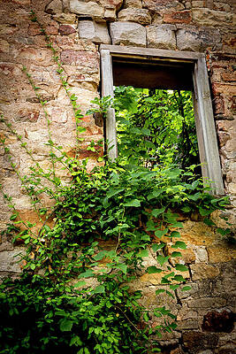 Wall Art - Photograph - Abandoned Window by Denise Harty