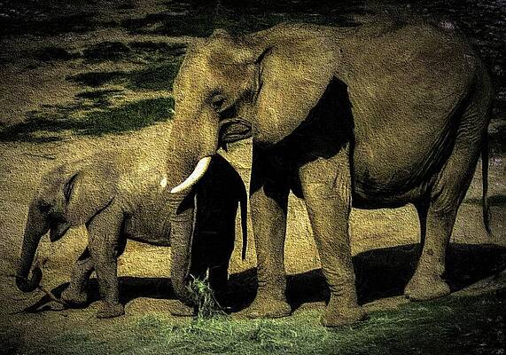 Abstract Elephants 23 by Kristalin Davis by Kristalin Davis Abstract Elephants 23 by Kristalin Davis by Kristalin Davis