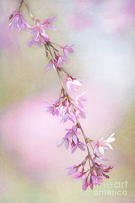 Abstract Higan Chery Blossom Branch by Anita Pollak Abstract Higan Chery Blossom Branch by Anita Pollak
