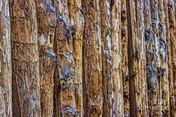 Wall Art - Photograph - Abstract Posts by Roberta Byram