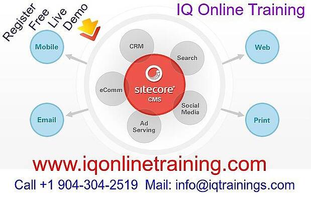 Advance your career with comprehensive sitecore online training by sofia