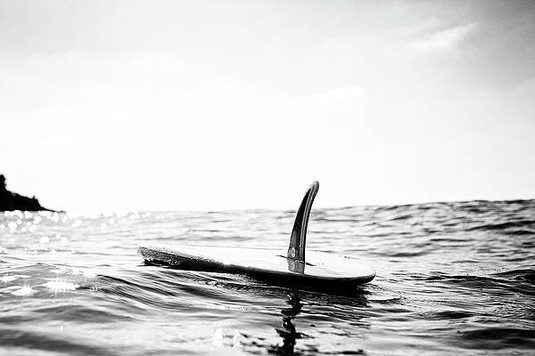 Wall Art - Photograph - Afloat by Nik West