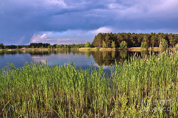 After the Rain Poetry by SILVA WISCHEROPP After the Rain Poetry by SILVA WISCHEROPP