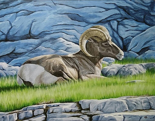 Sheep Rock Paintings Page 4 Of 4 Fine Art America