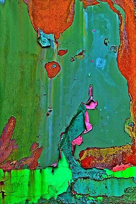 Aging Colorfully by Dave Sullivan
