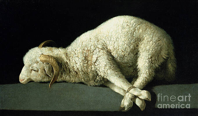Lamb Of God Paintings Fine Art America