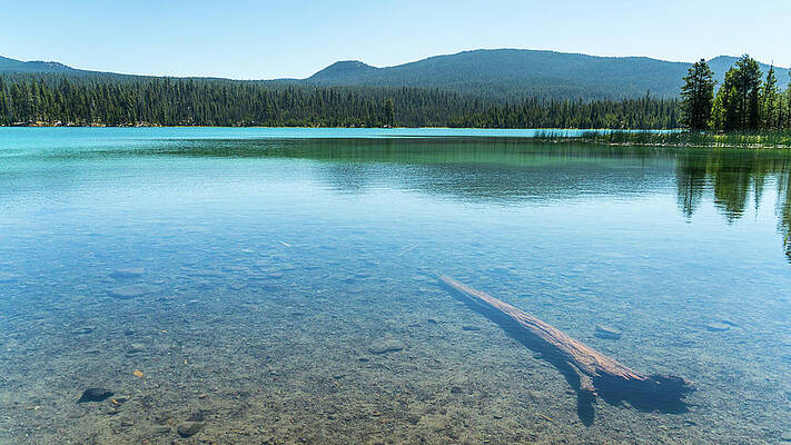 Wall Art - Photograph - Air Water Log Lava Lake Oregon by Lawrence S Richardson Jr