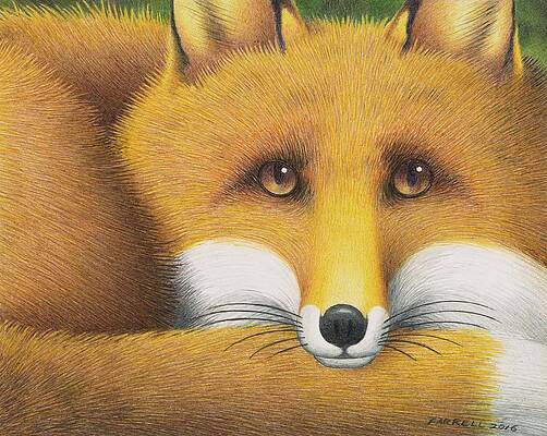 All Curled Up by Mike Farrell All Curled Up by Mike Farrell