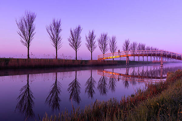 Wall Art - Photograph - Alone on a Canal Bridge by Sue Leonard