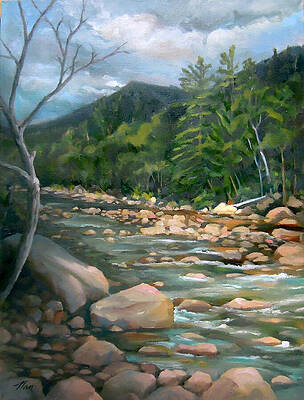 Wall Art - Painting - Along the Pemi by Nancy Griswold
