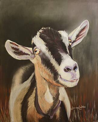 Alpine Goat by Janae Lehto Alpine Goat by Janae Lehto