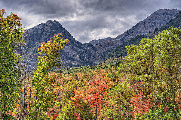 Wall Art - Photograph - Alpine Loop with fall colors by Brett Engle