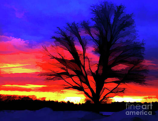 Wall Art - Photograph - Amaze Blaze and Mystify by Xine Segalas