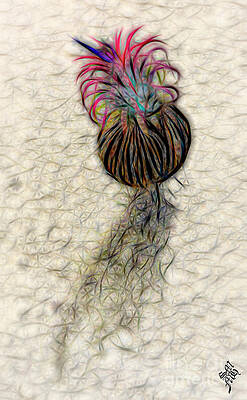 Amazing Coconut Flower by Syed Muhammad Munir ul Haq Amazing Coconut Flower by Syed Muhammad Munir ul Haq