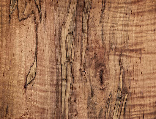Wood Veneer Art Page 3 Of 4 Fine Art America