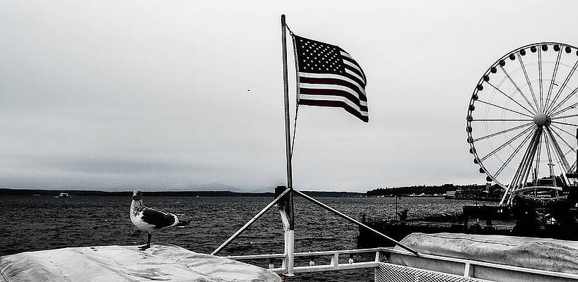 American Seattle by D Justin Johns American Seattle by D Justin Johns
