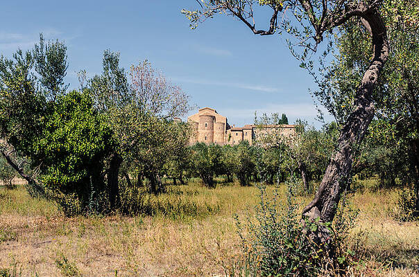 Natural Photograph - An Ancient Abbey - Italian Landscape 2 by AM FineArtPrints