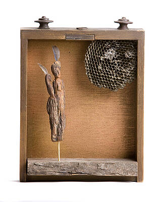 Anima Empty nest by Daniel Mack