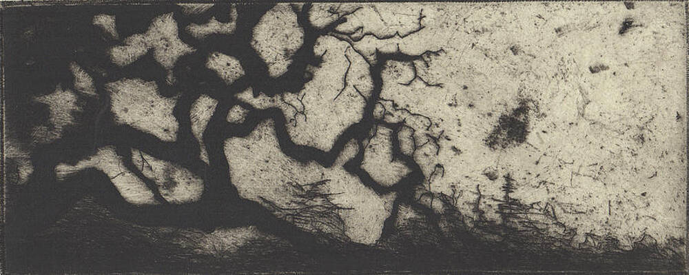 Wall Art - Drawing - Annadel 1 by Erik Paul