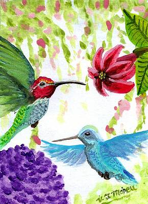 Anna's Hummingbird Pair by Vicki Maheu Anna's Hummingbird Pair by Vicki Maheu