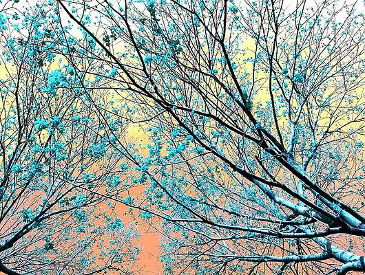 Anticipating More Good Feelings Of Warmth by Andy Rhodes Anticipating More Good Feelings Of Warmth by Andy Rhodes