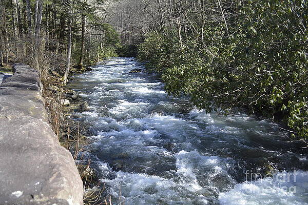 Appalachian Mountain Water by Barb Dalton Appalachian Mountain Water by Barb Dalton