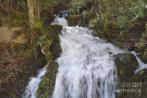 Appalachian Mountain Waterfalls by Barb Dalton Appalachian Mountain Waterfalls by Barb Dalton