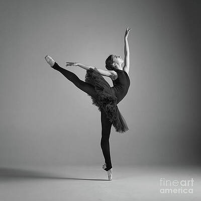 Ballerina Art (Page #32 of 100) | Fine Art America
